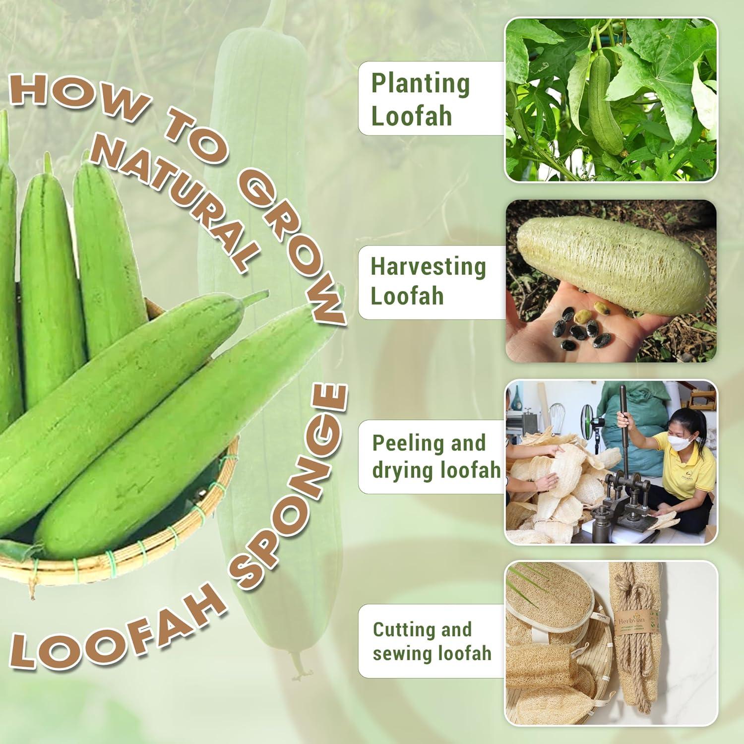 Esponja de Ducha Lufa Natural Herbvian con Mango de Yute 30.5cm