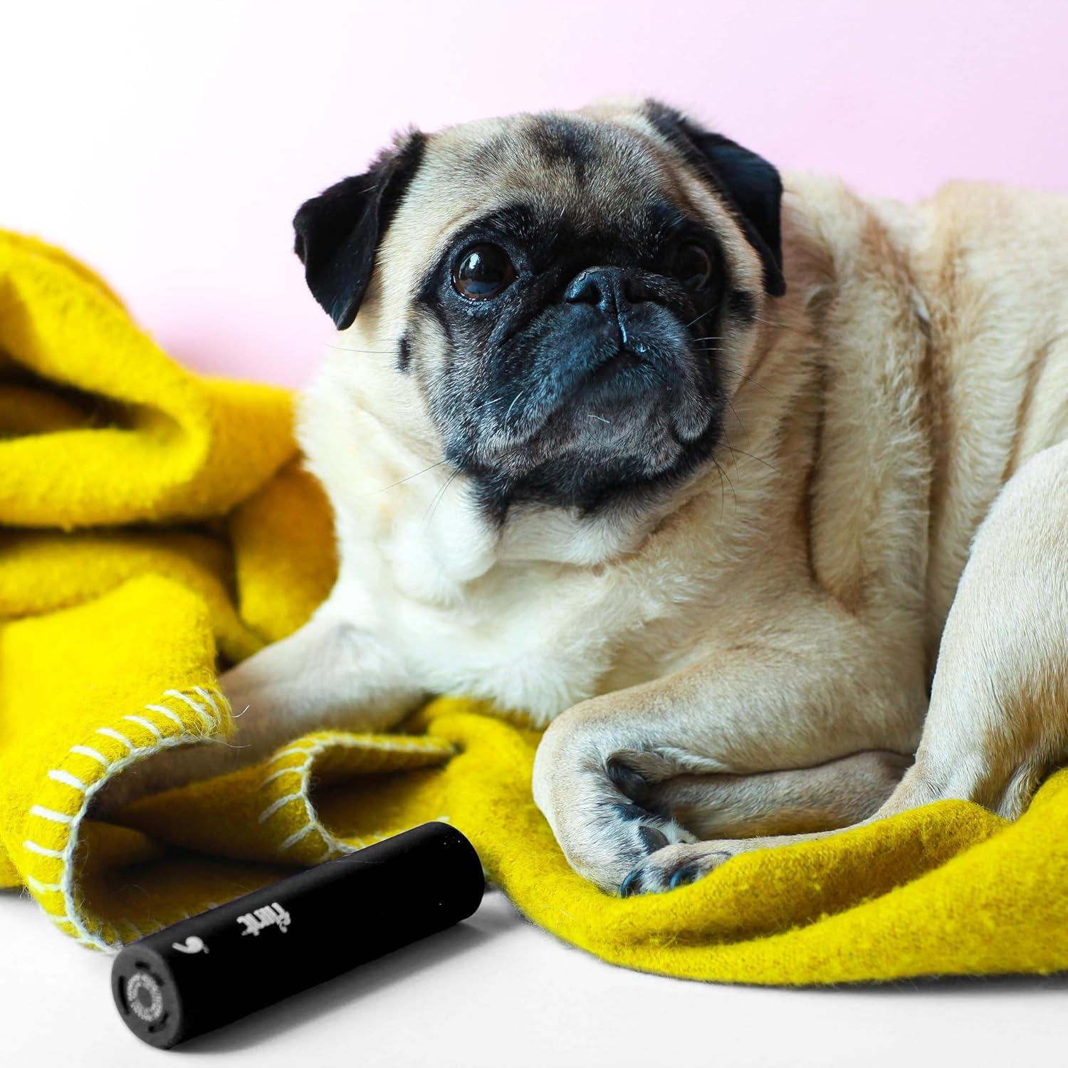 Rodillo Quitapelusas Mini Flint Negro 90 Hojas Extra Pegajosas