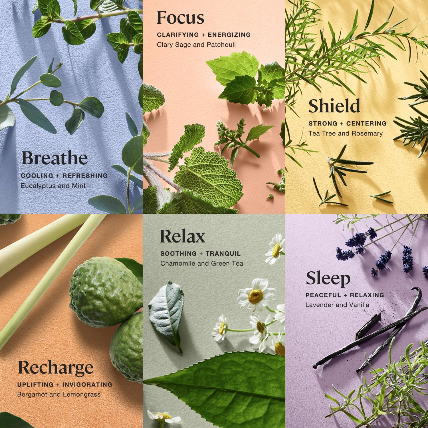 Set de Bombas de Baño Hipoalergénicas Kohler - 6 Piezas