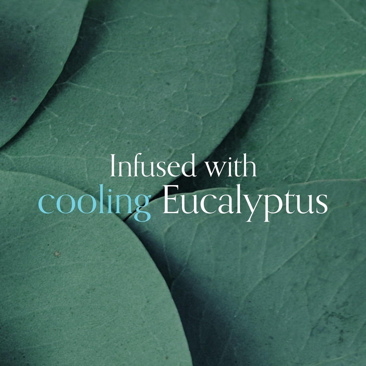 Bombas de Ducha Aromaterapia Eucalipto Bliss - Paquete 12