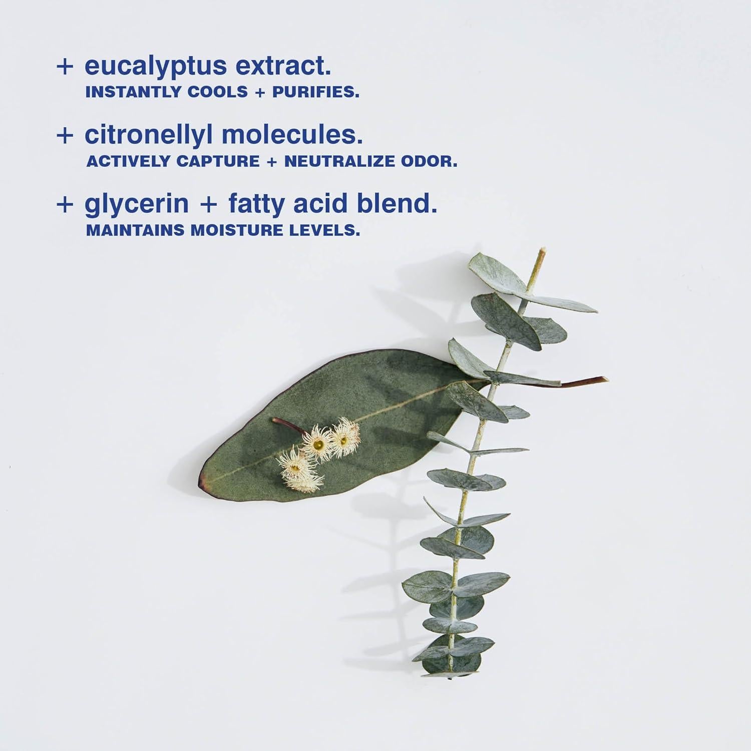 Desodorante en barra Malin + Goetz Eucalipto 73.9g