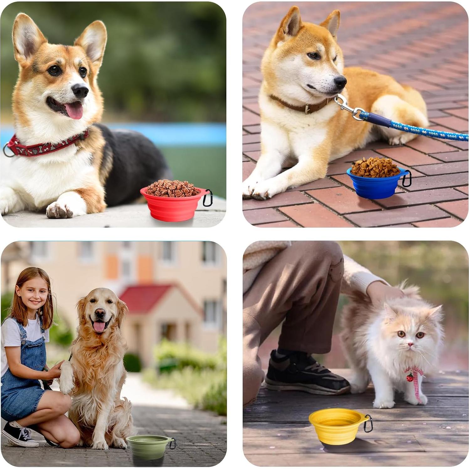 Cuencos de Silicona Colapsables PetBonus 2-Pack 591 ml