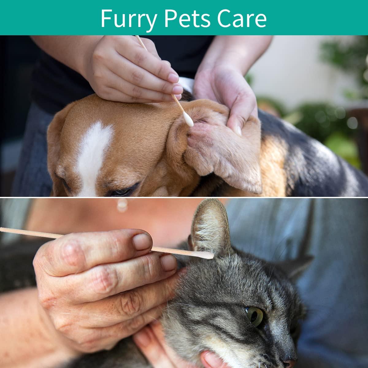 Bastones de Algodón Extra Largos 15.24 cm EYXFORMULA - 600 PCS