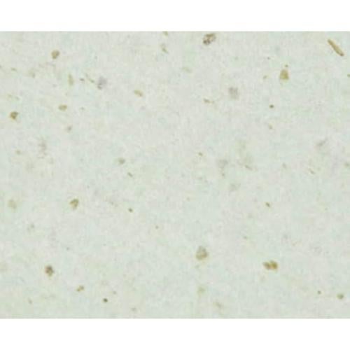 Papel Absorbente de Aceite Cinnamoroll 150 Hojas - Licencia Oficial