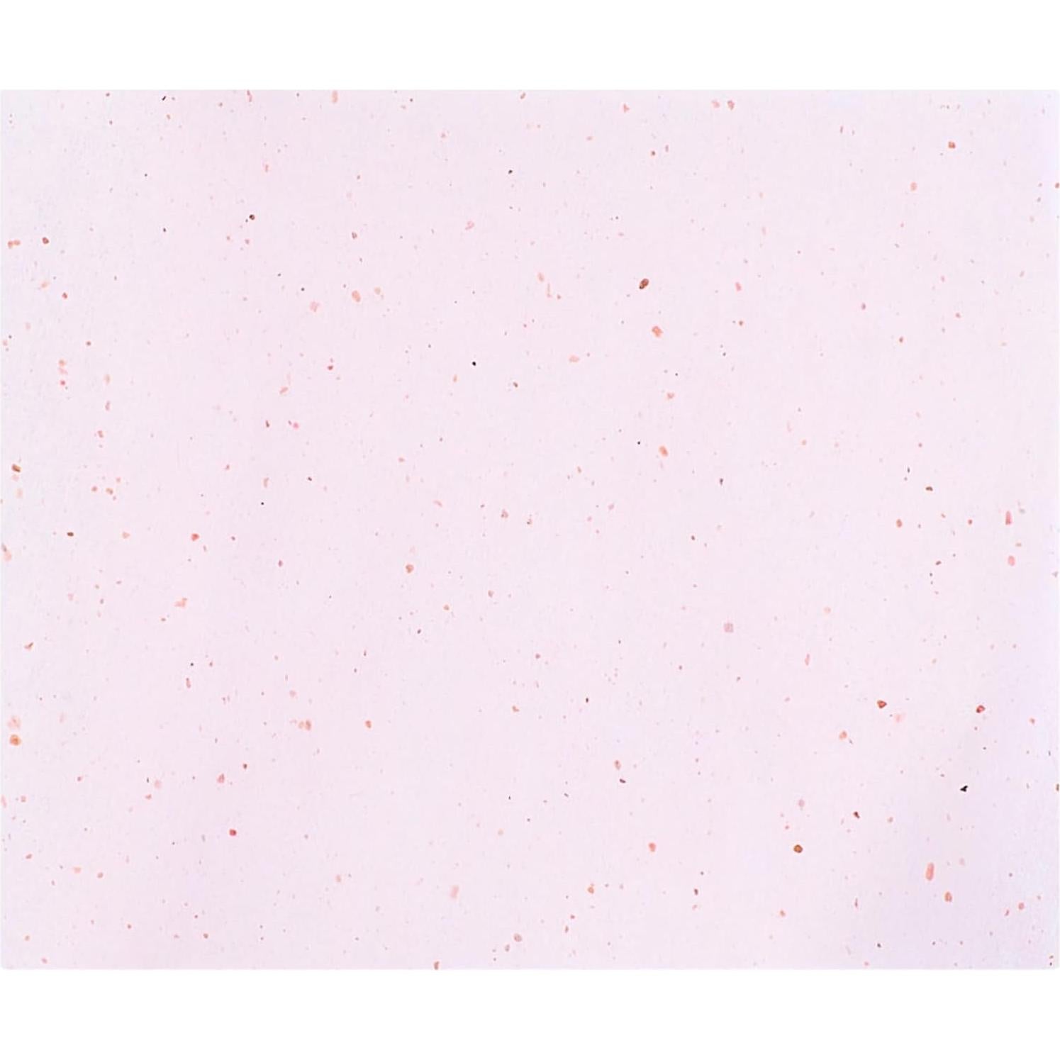 Hojas Absorbentes de Aceite HIS FAVOURITE - 100 Unidades