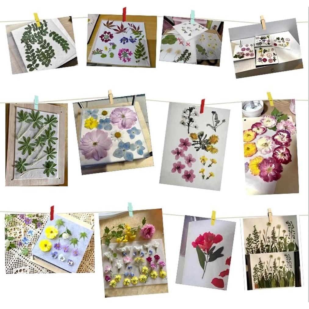 Papel Absorbente A5 CenterZ 60 Hojas Reutilizable para Flores