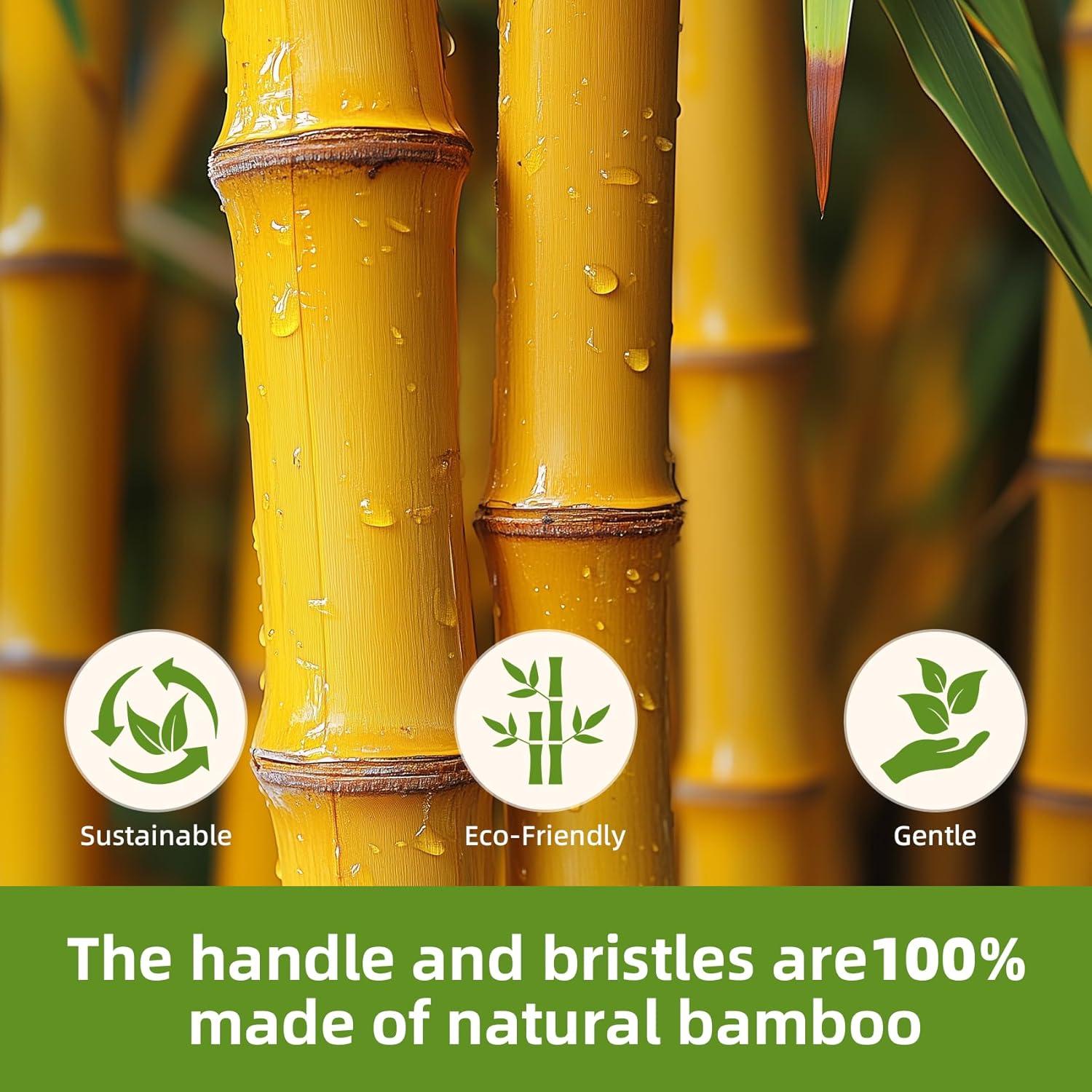 Cepillo de Paleta de Bambú Natural MRD para Desenredar 23.7x8cm