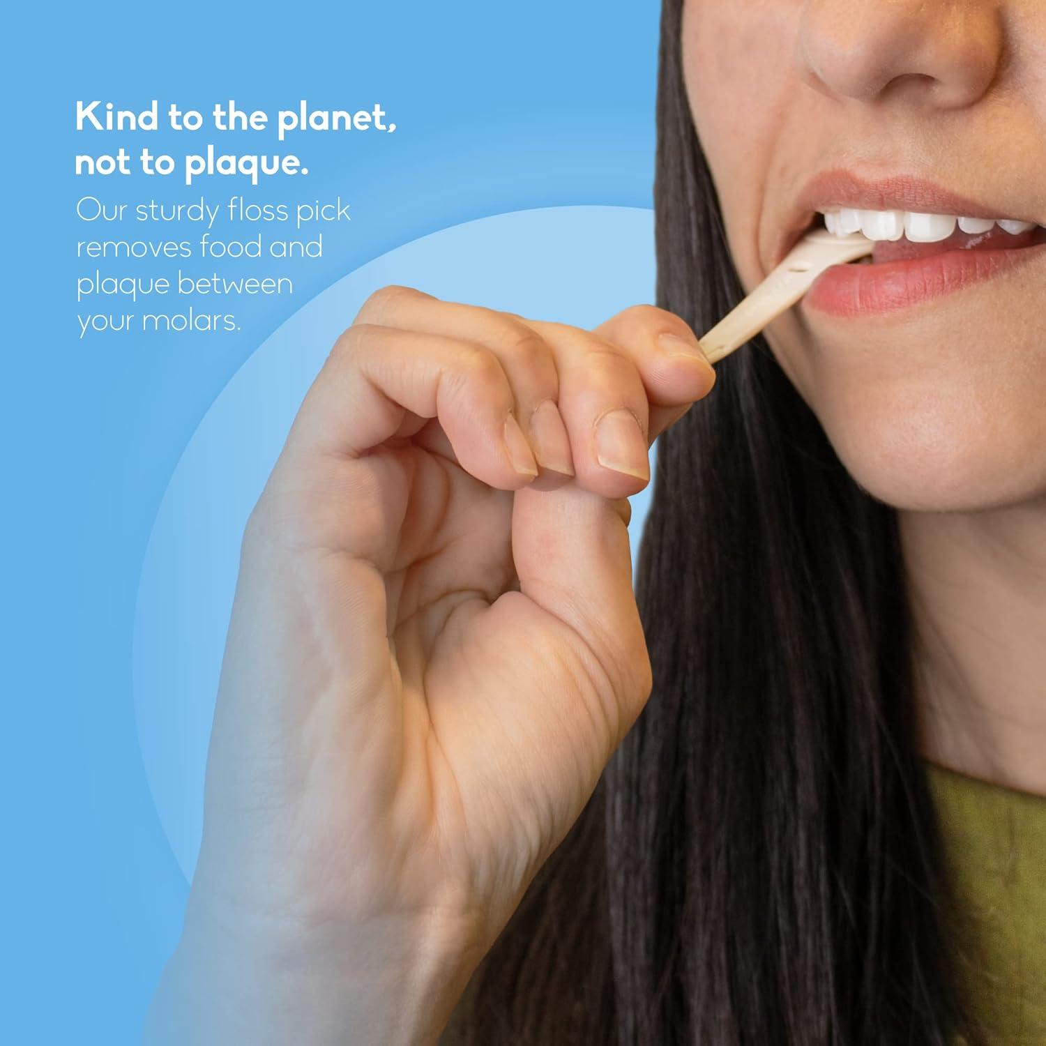 Palillos de Hilo Dental The Humble Co. 200 Unidades Menta