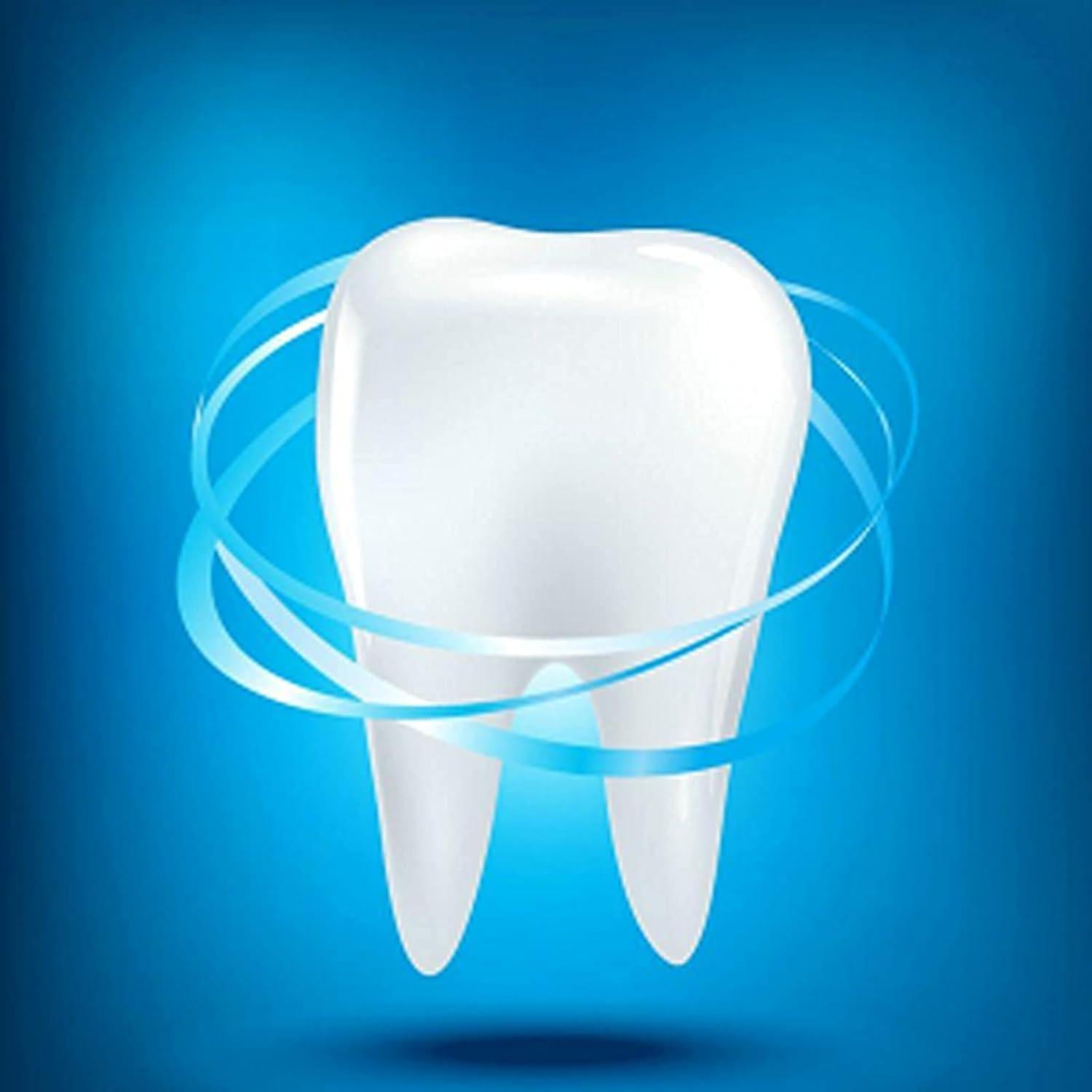 Palillos de Hilo Dental Holy Rose 500 Unidades Alta Calidad