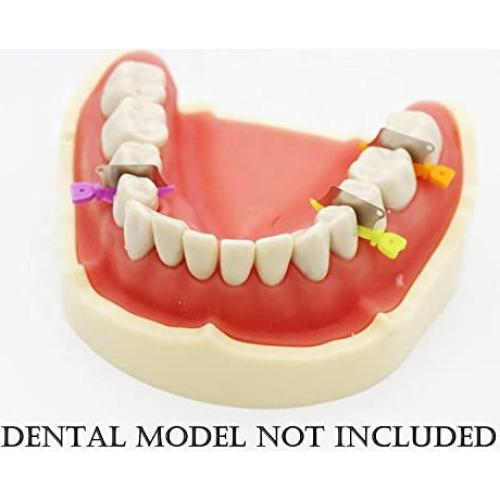 Protector Dental Impressive Smile 50pcs con Cuchillo de Plástico