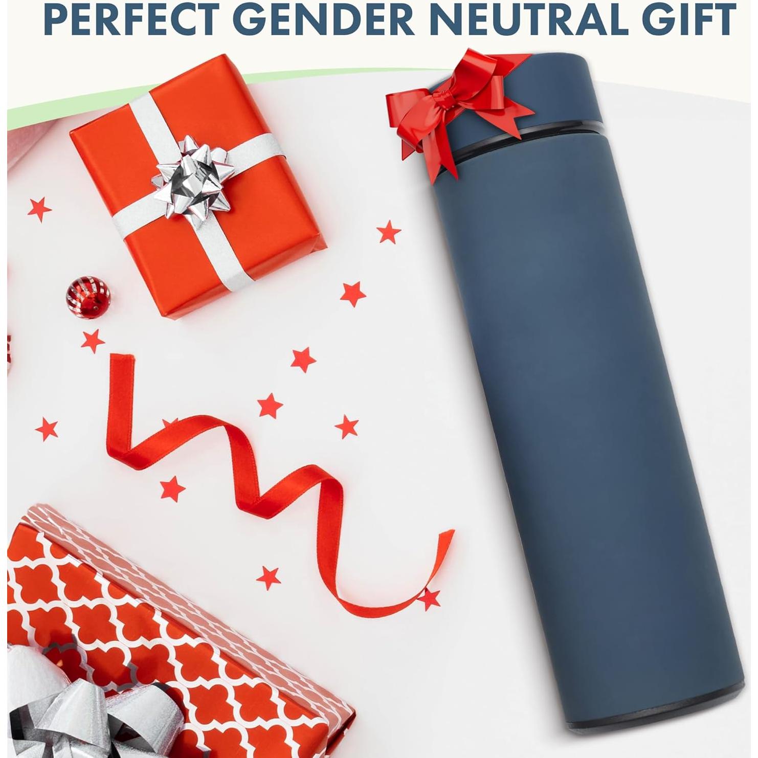 Termo Aislado AVARO 500ml con Infusor para Té y Café