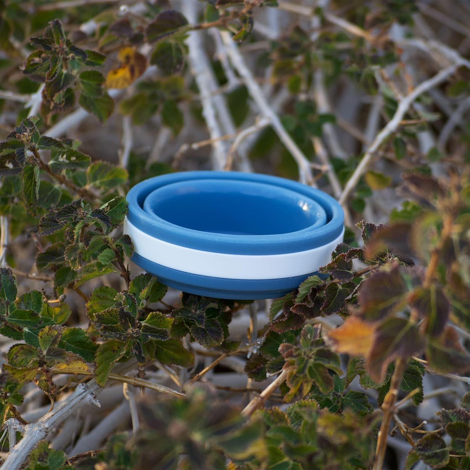 Taza Plegable Ultraligera Hiker's Gold 270 ml Azul