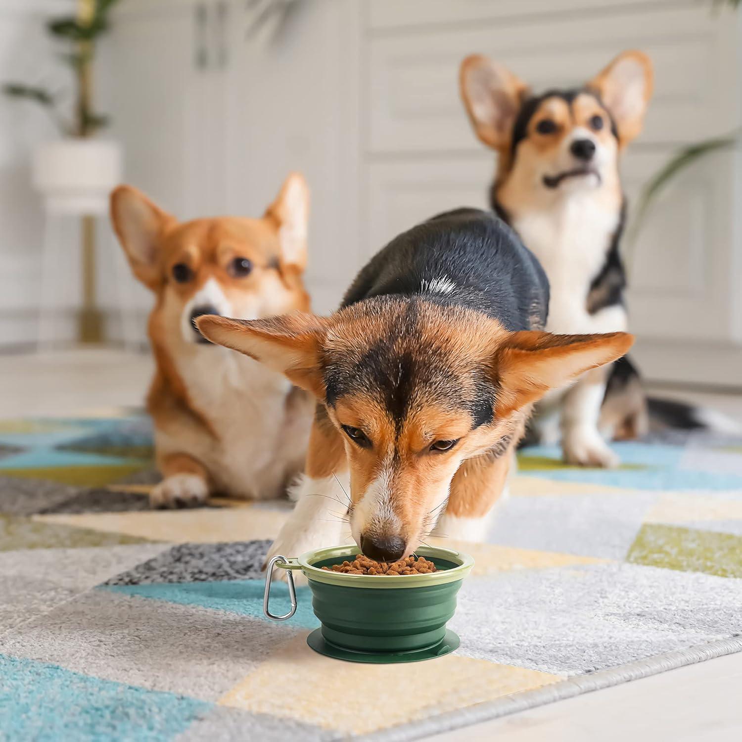 Cuenco Plegable para Perro BARWO Verde Bosque 350mL Antideslizante