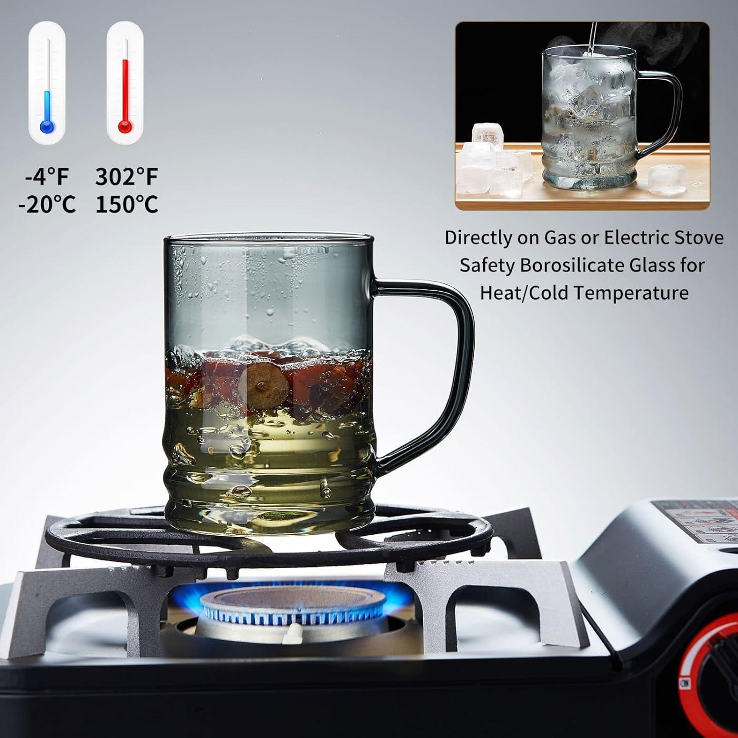 Taza de Té Irrompible de Vidrio Borosilicato 427 ml con Infusor