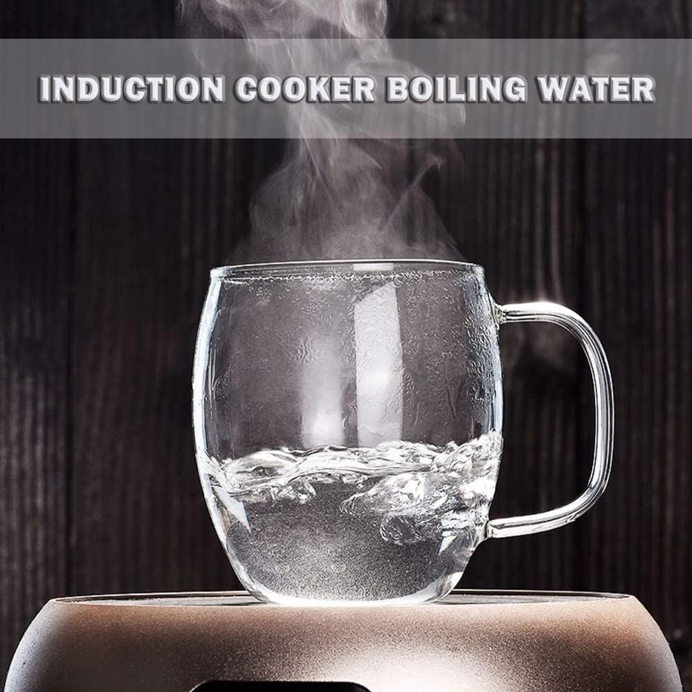 Taza de Té de Vidrio Bunhut con Infusor y Tapa 500ml