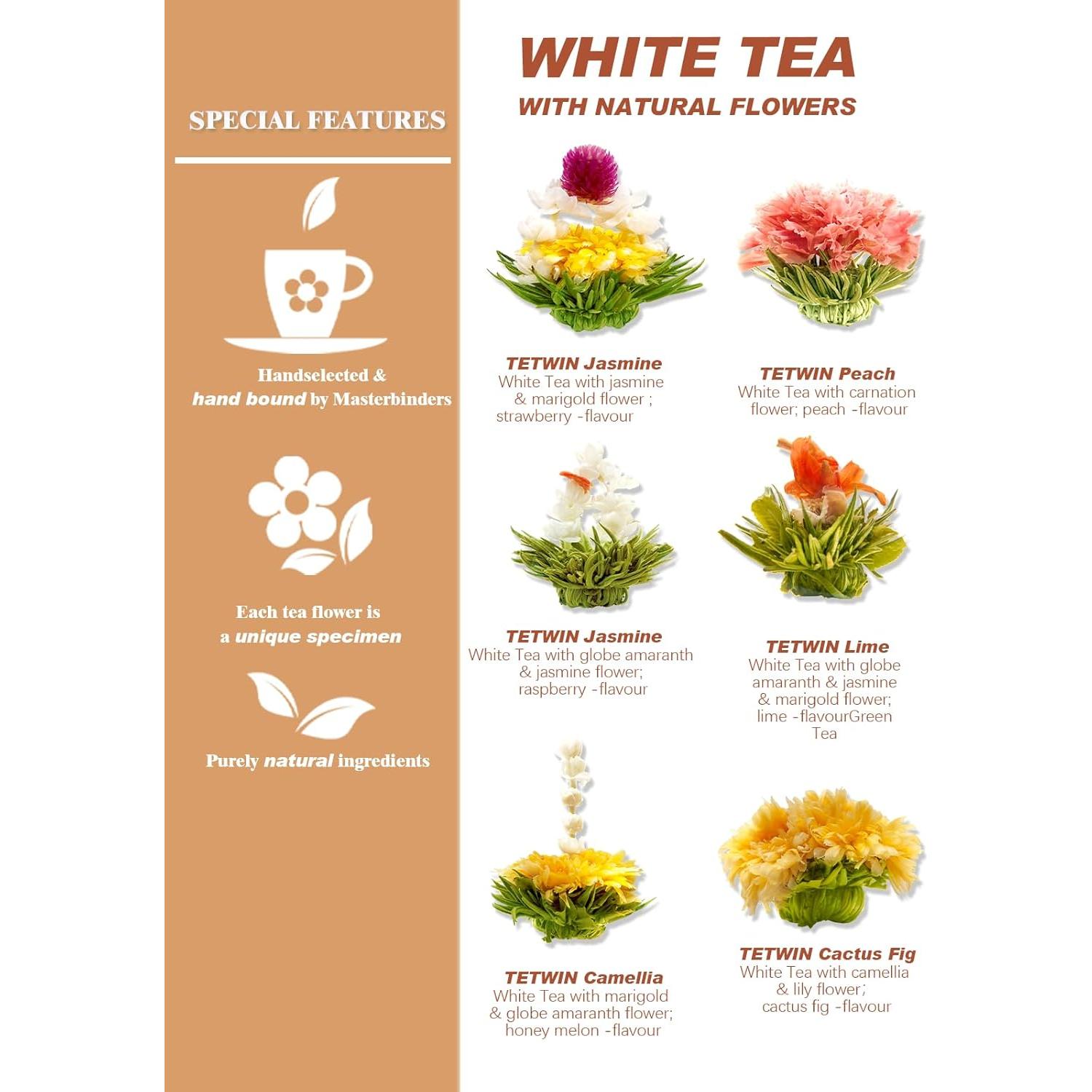 Tetera de Vidrio TETWIN 1000ml con Infusor y 6 Bolas de Té