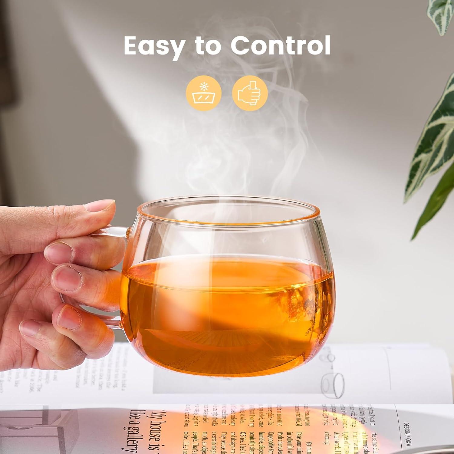 Taza de Té PARACITY de Vidrio con Infusor y Tapa 368ml