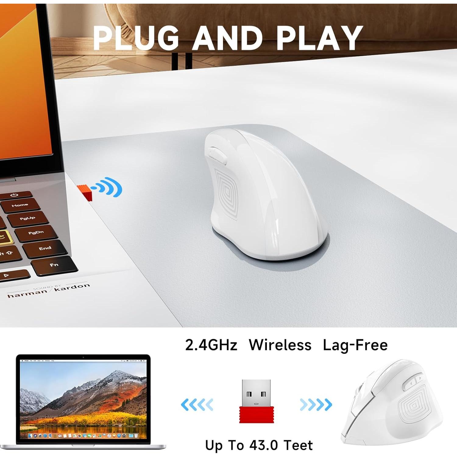 Ratón Ergonómico Inalámbrico Memzuoix WM-791 3 DPI Ajustables