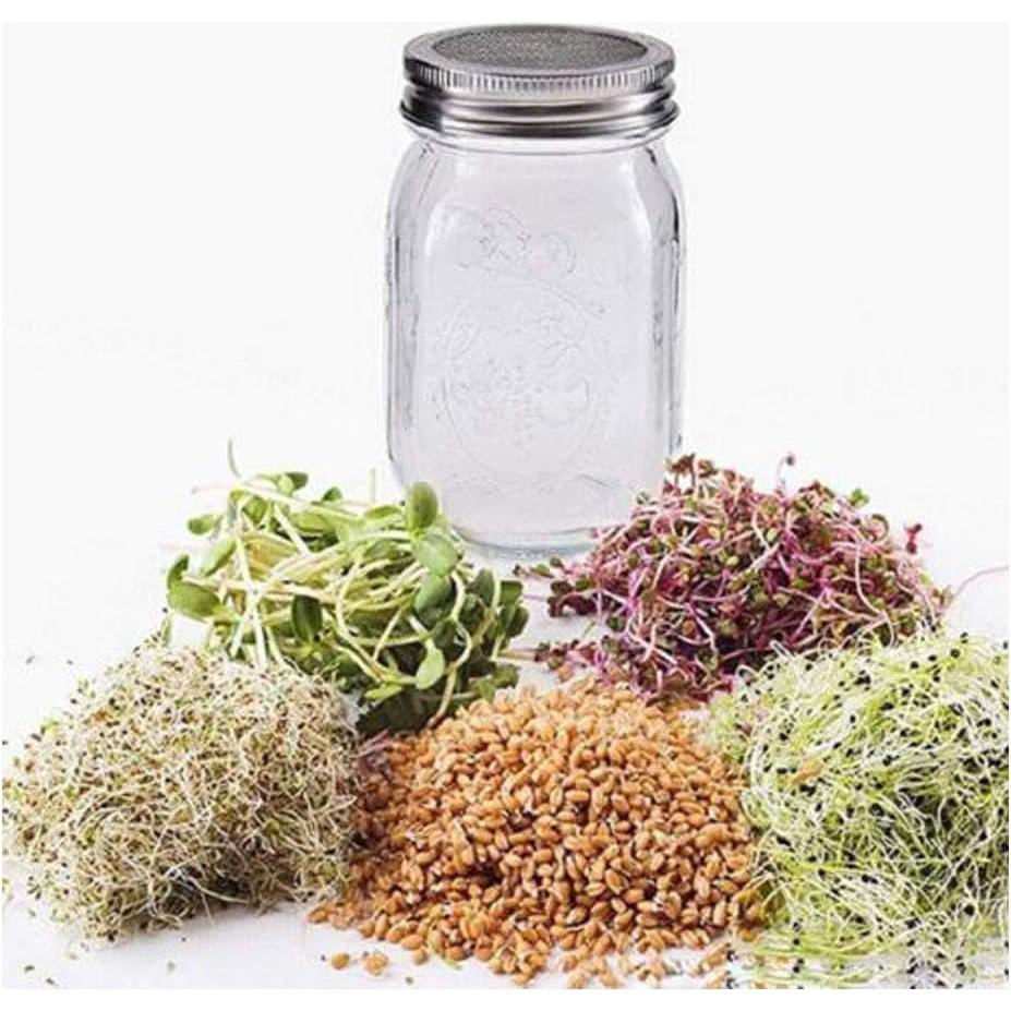 Set de 6 tapas para frascos Mason L7HWDP - Infusiones y germinación