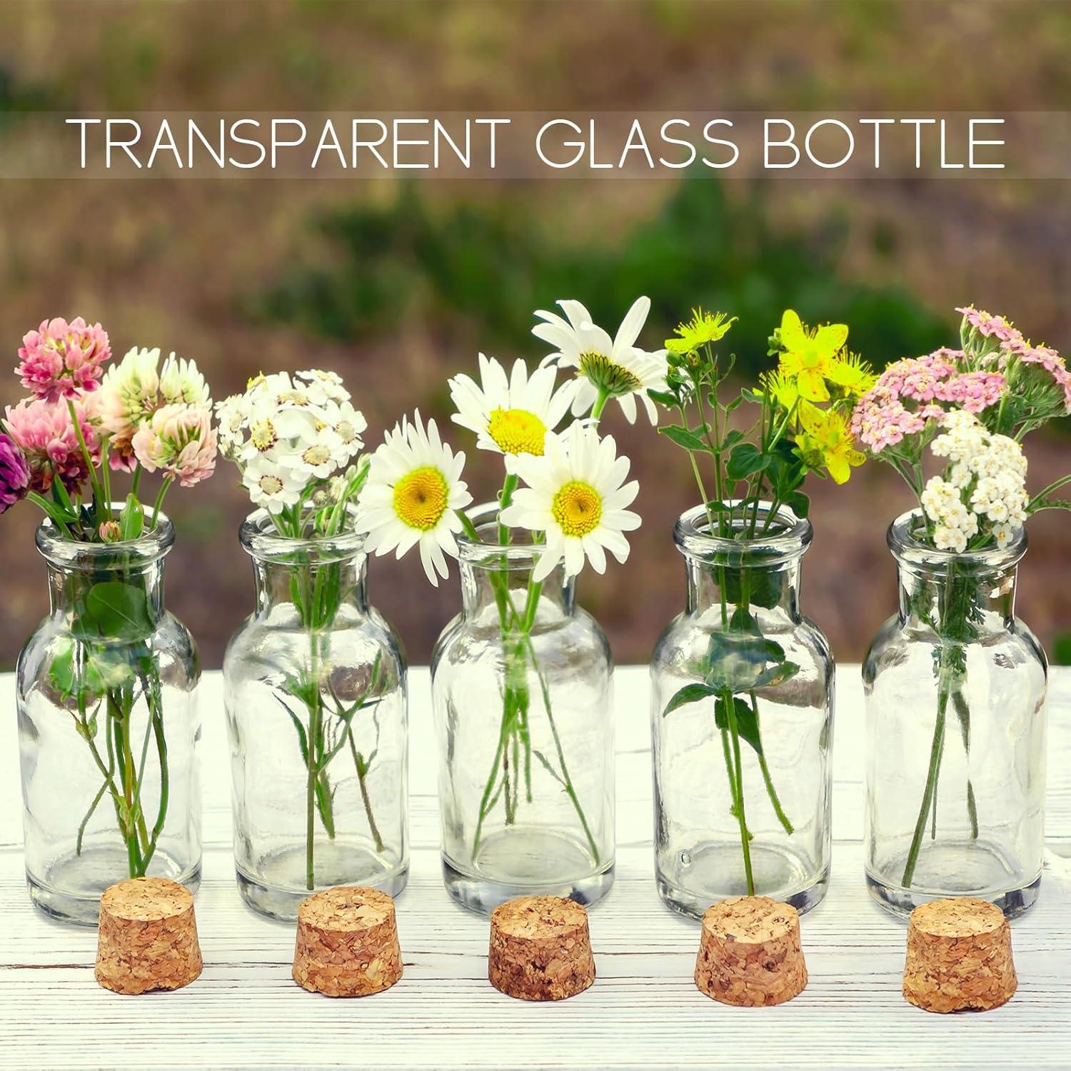 Yungyan 50 Mini Botellas de Vidrio con Corcho 1ml para DIY
