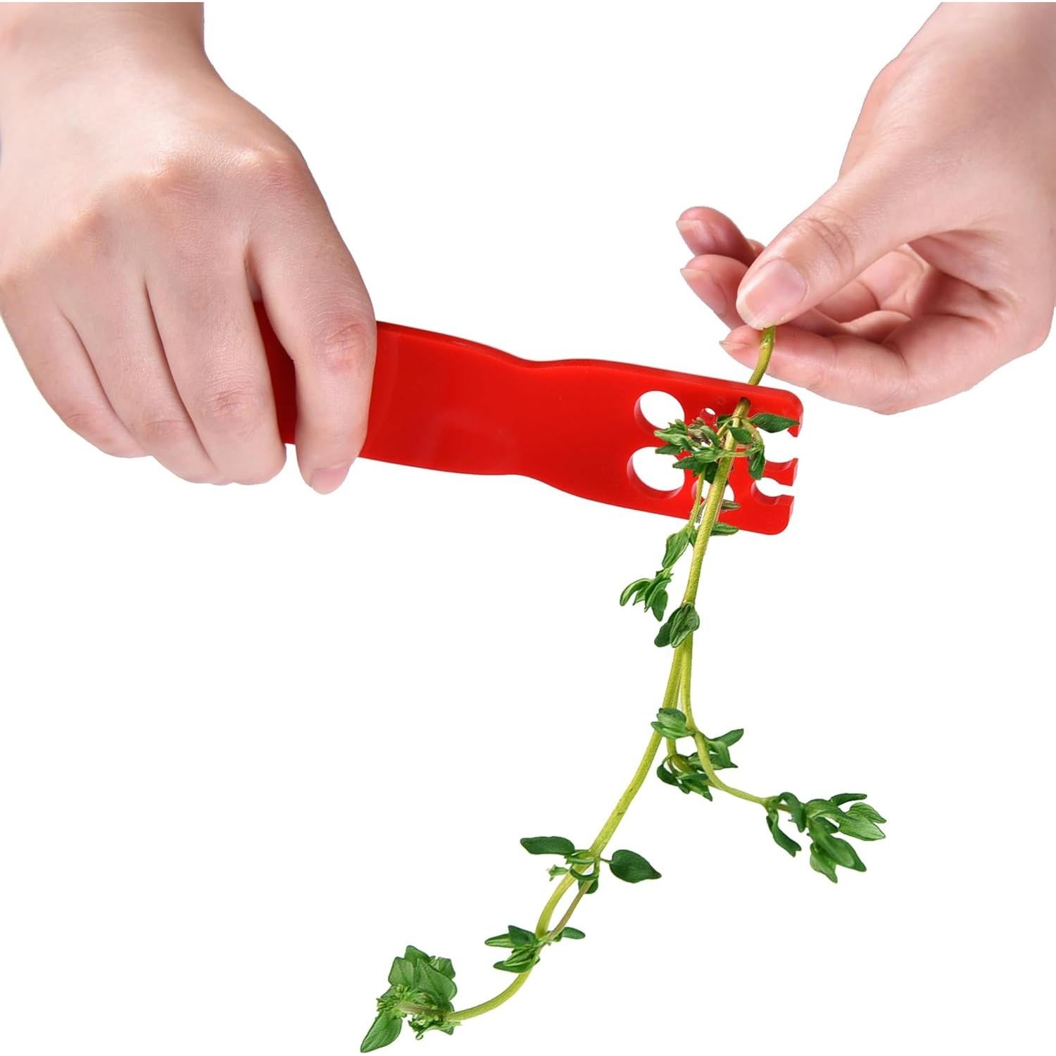 Deshojadora de Hierbas Ropto - Acero Inoxidable, 17 cm