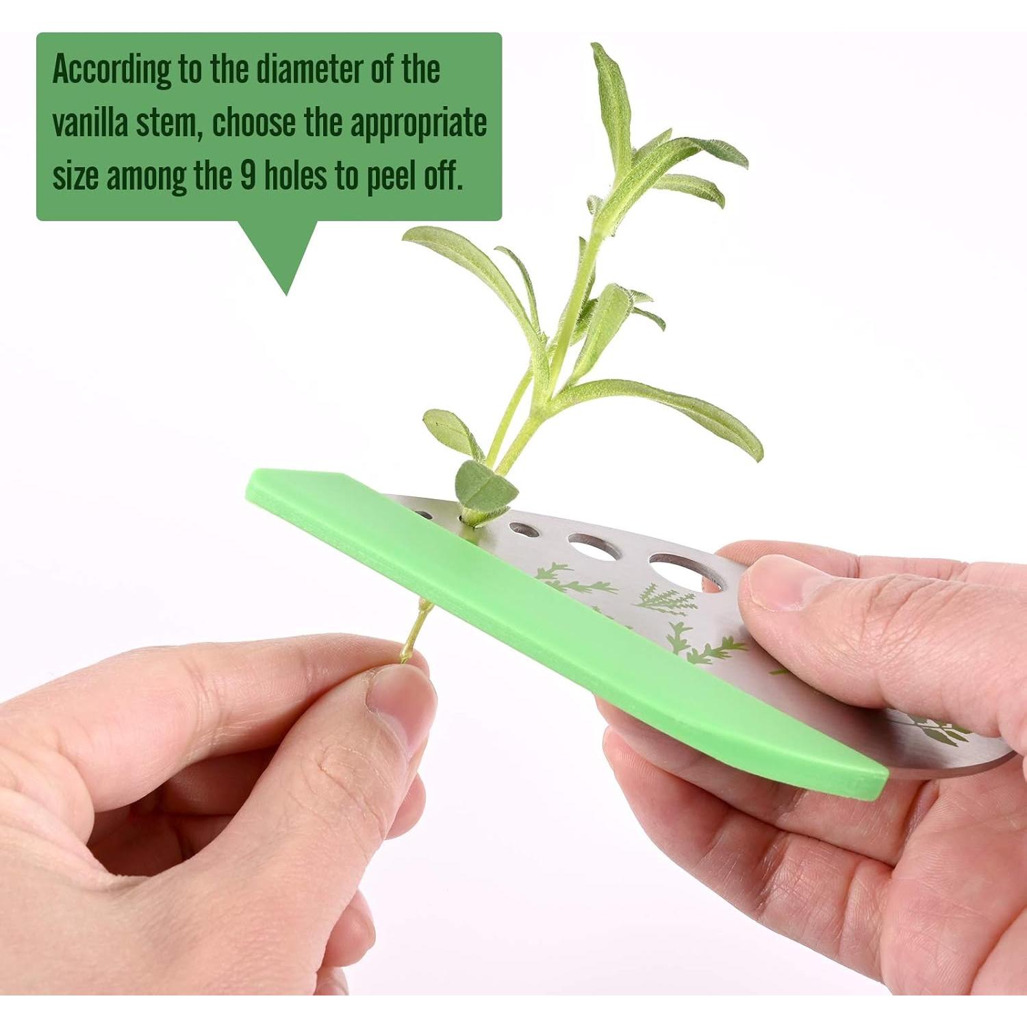 Deshojador y Cortador de Hierbas Topolopyfeely Acero Inoxidable