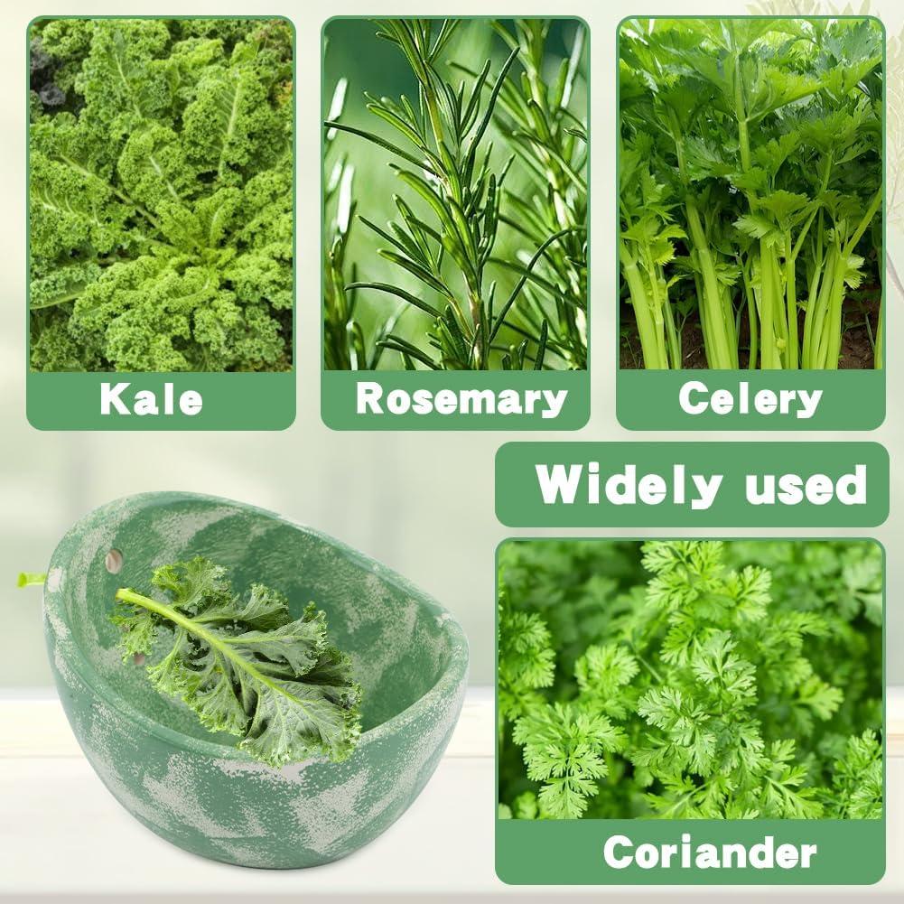 Deshojador de Hierbas de Cerámica Velarionna Verde 4 Agujeros