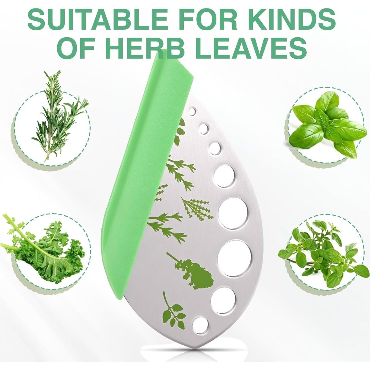 Desgarrador de Hierbas QIYUDA 2 en 1 Acero Inoxidable 9 Agujeros