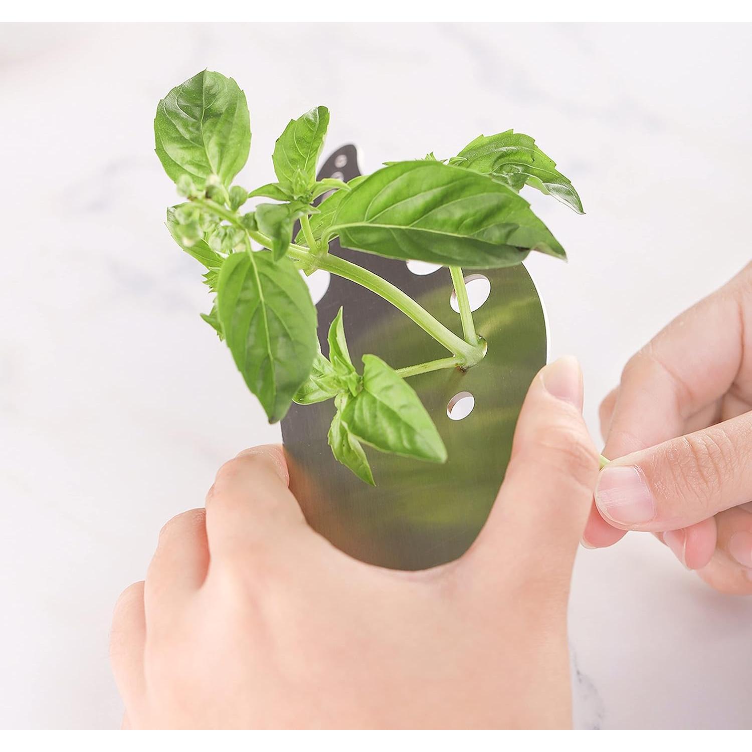 Desprendedor de Hierbas XANADU de Acero Inoxidable 15.5x7.5cm