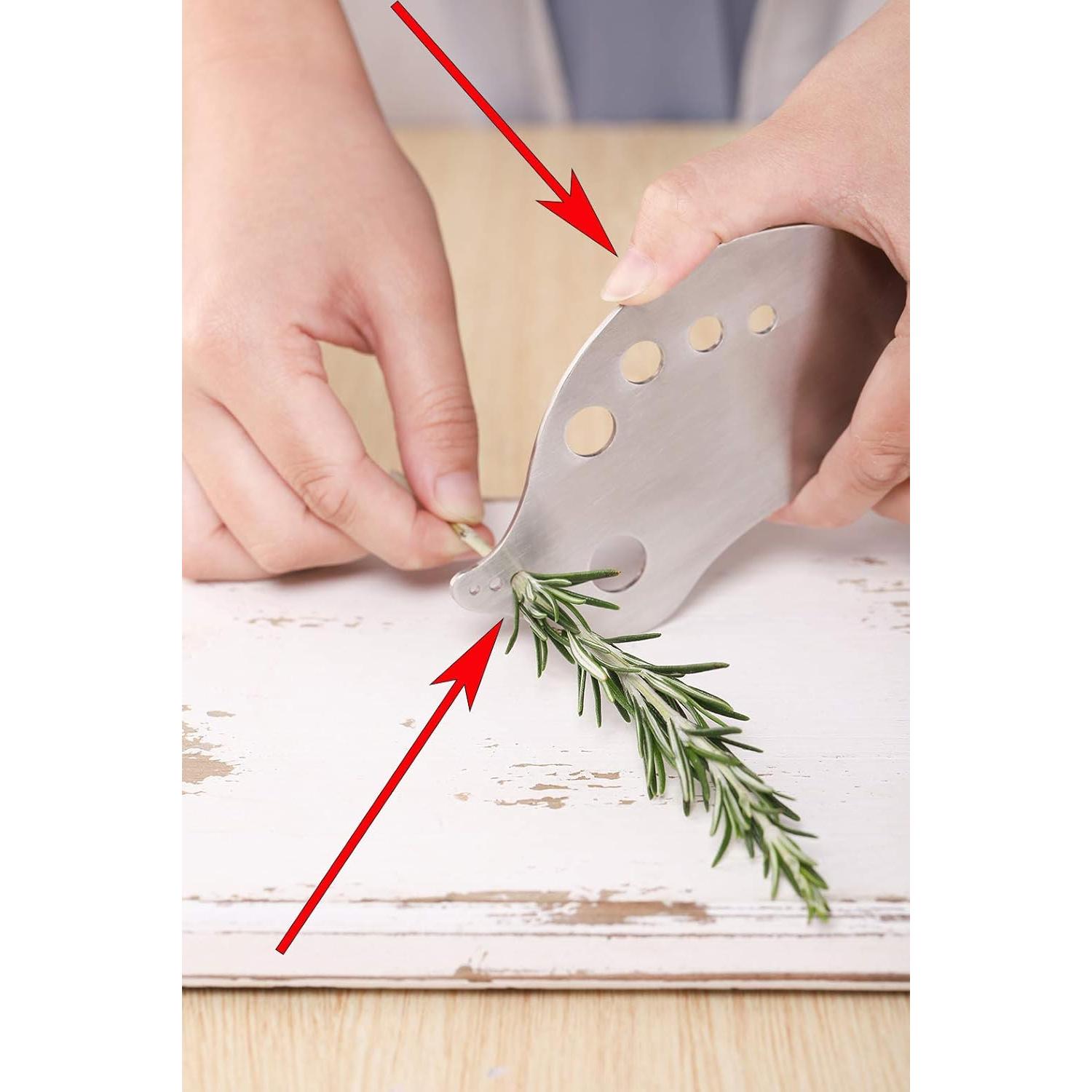 Desprendedor de Hierbas XANADU de Acero Inoxidable 15.5x7.5cm