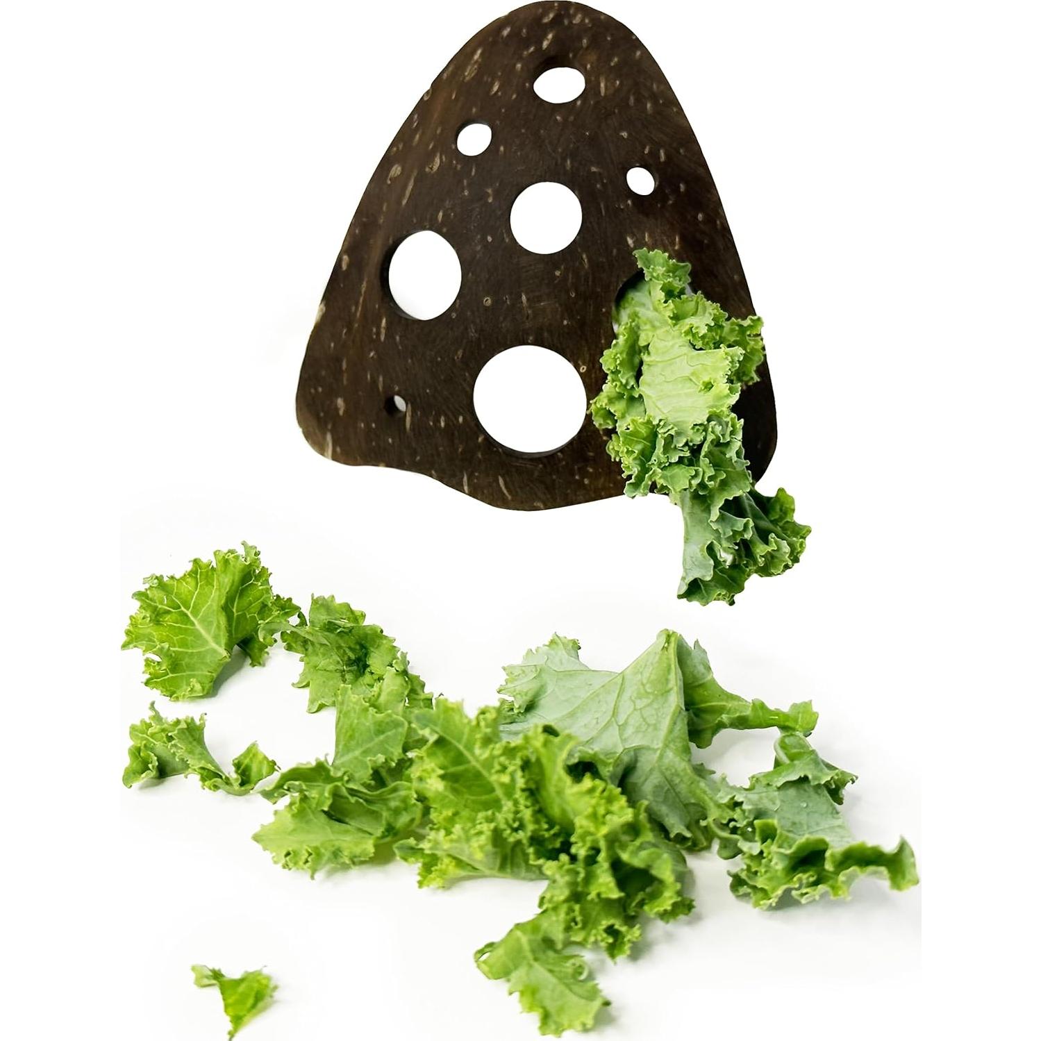 Deshojadora de Hierbas Naturolic 100% Ecológica 9 Agujeros