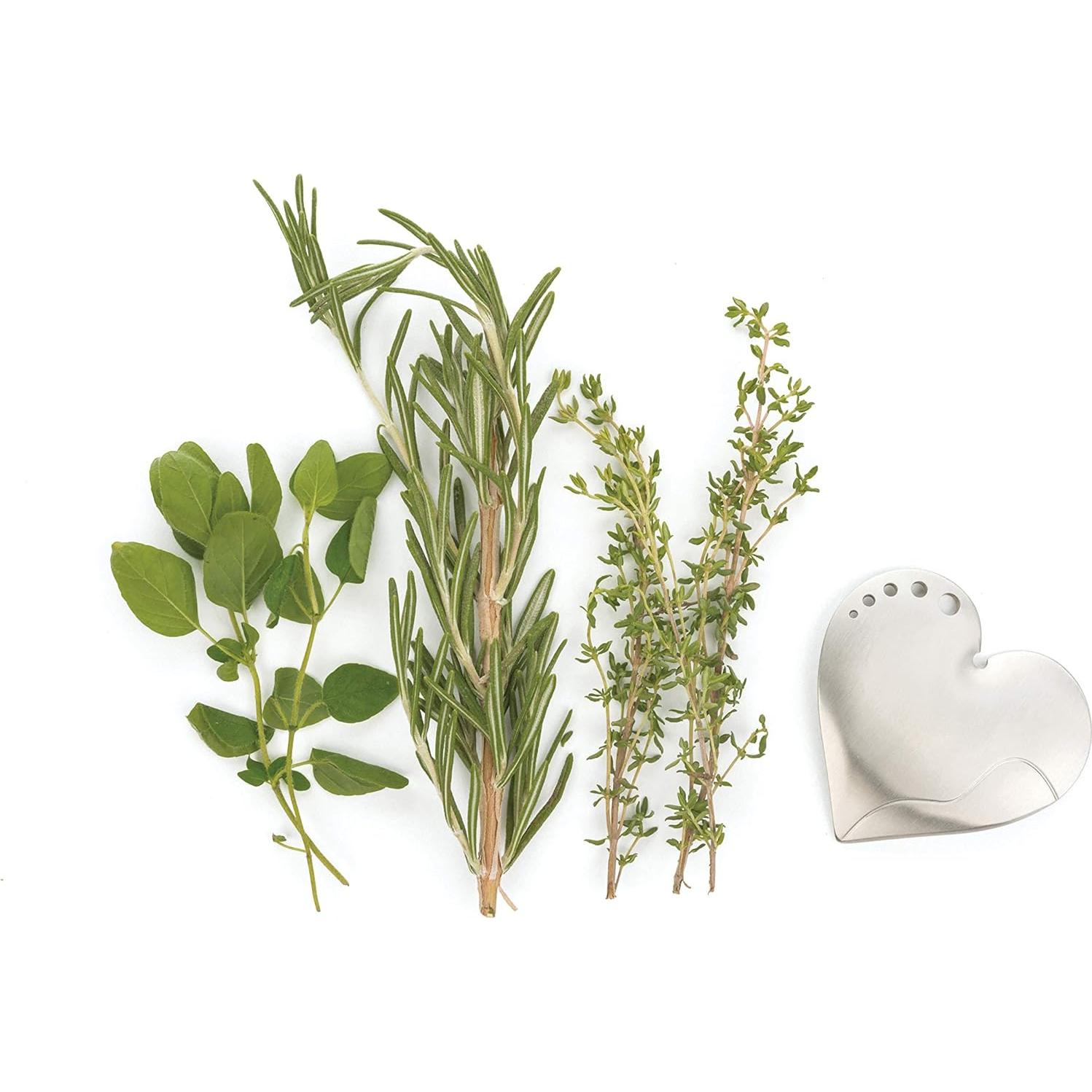 Despojadores de Hierbas de Acero Inoxidable RSVP - Juego de 2