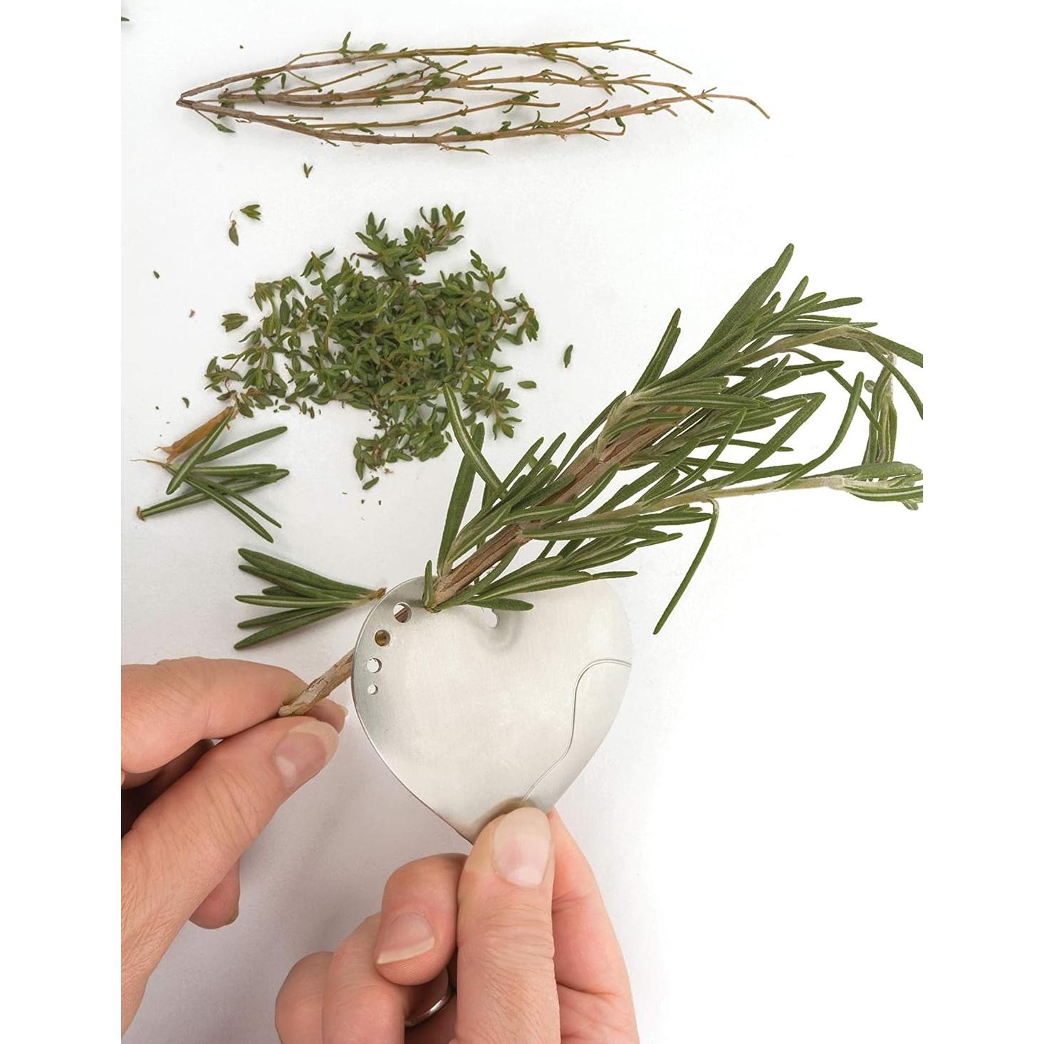 Despojadores de Hierbas de Acero Inoxidable RSVP - Juego de 2