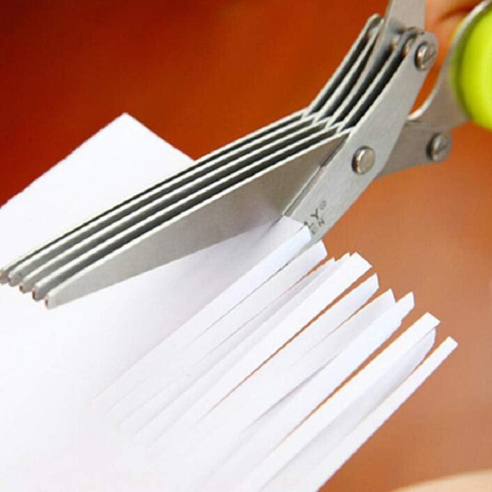 Kit de Herramientas de Cocina Benekiy - Tijeras de 5 Cuchillas y Deshojador