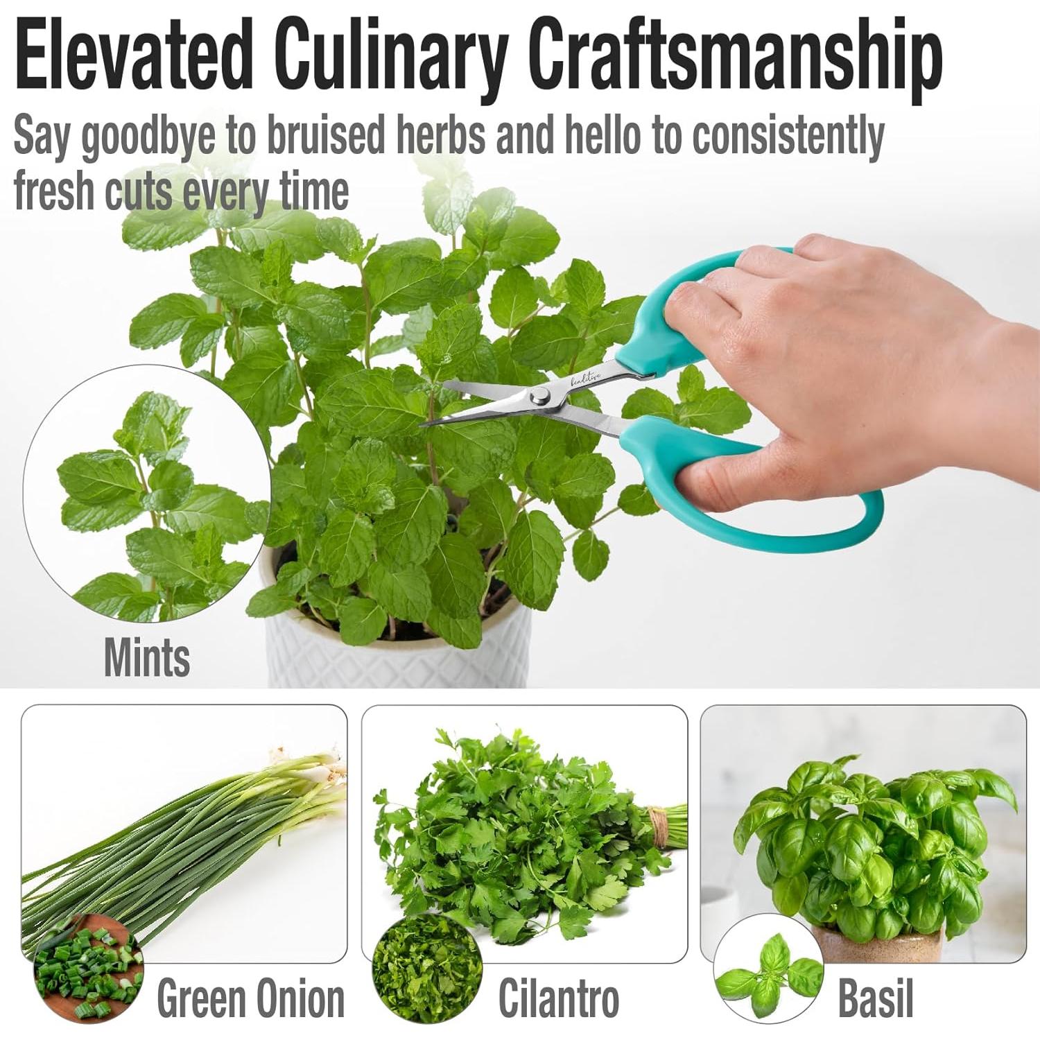 Tijeras de Cocina Beaditive de Acero Inoxidable 16.5 cm