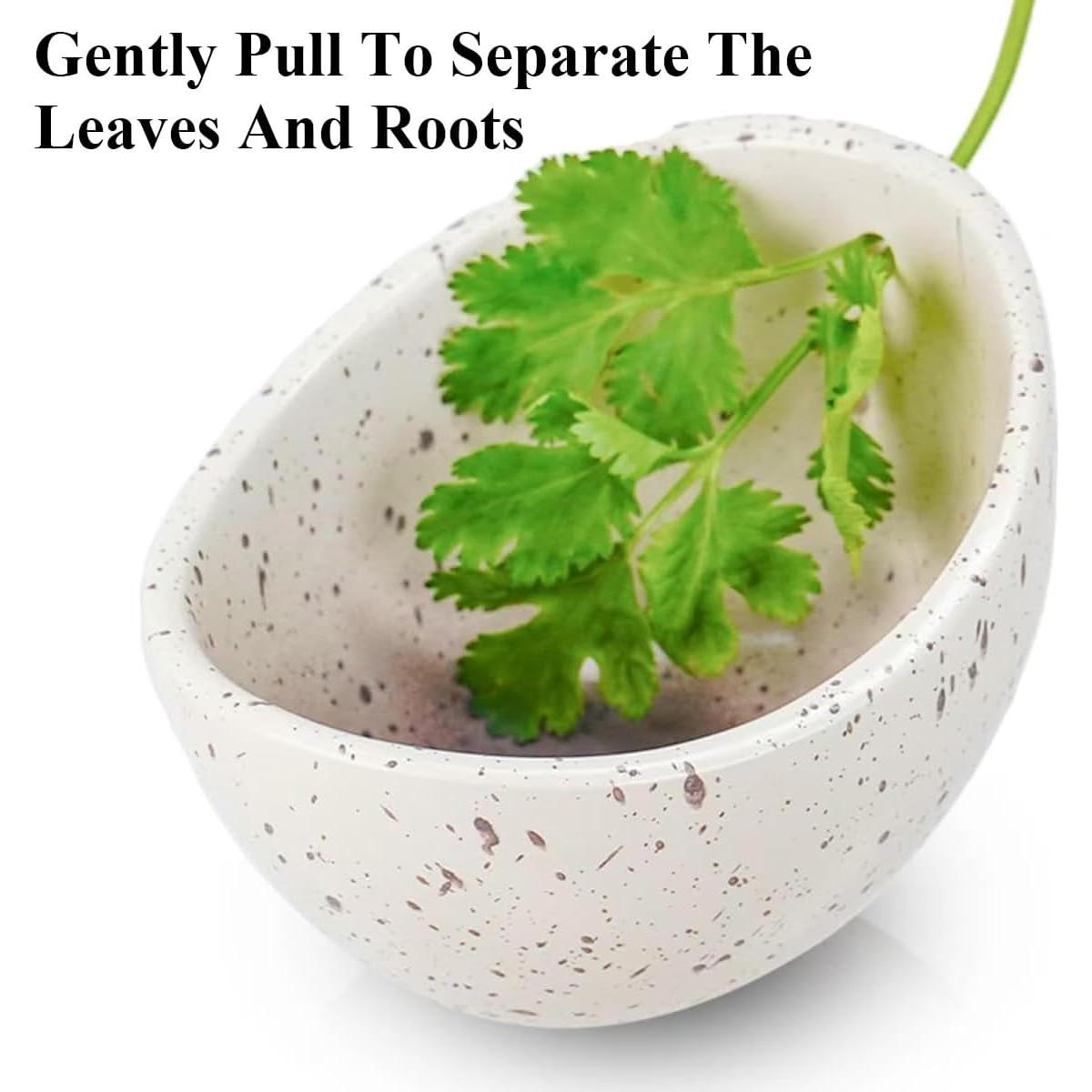 Deshojador de Hierbas Cerámica Hamblin Brothers 10x8.5cm