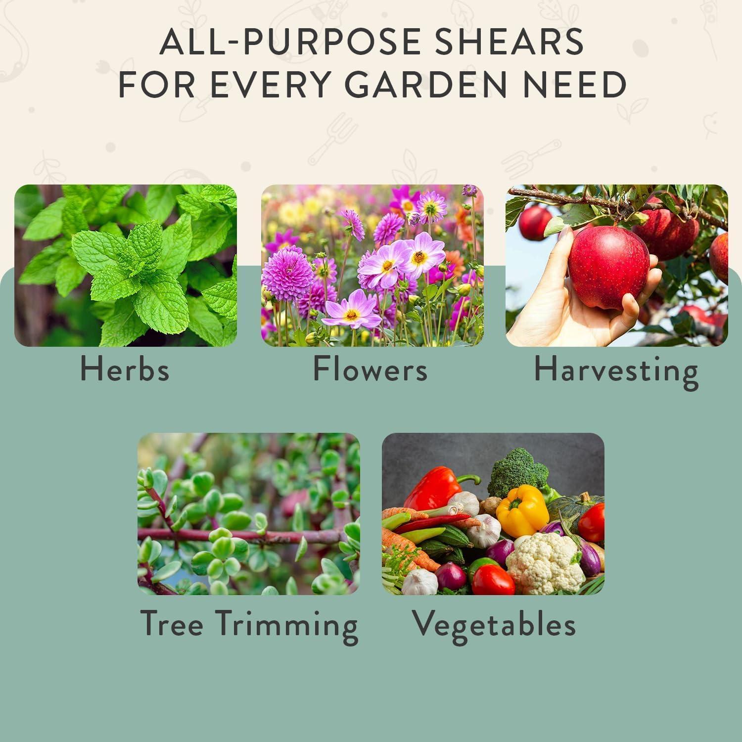 Tijeras de Podar Modern Sprout Verde, Acero al Carbono, 15.24 cm