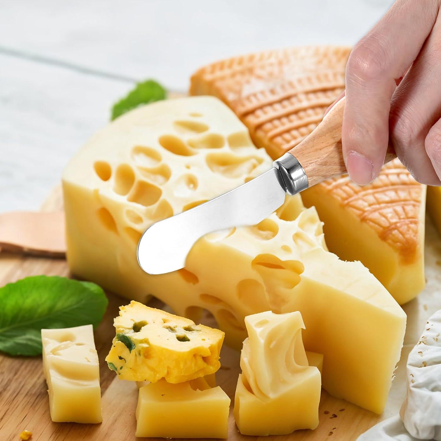 Juego de 25 Cuchillos para Untar Queso Simmaro Acero Inoxidable