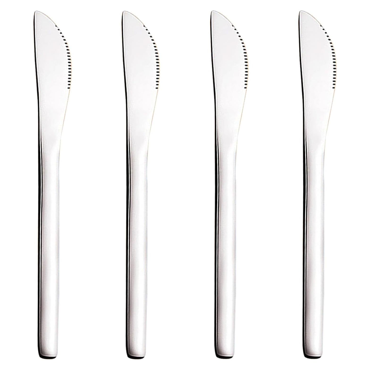 Set de Cuchillos de Postre para Niños VANRA 4 Piezas Acero Inoxidable