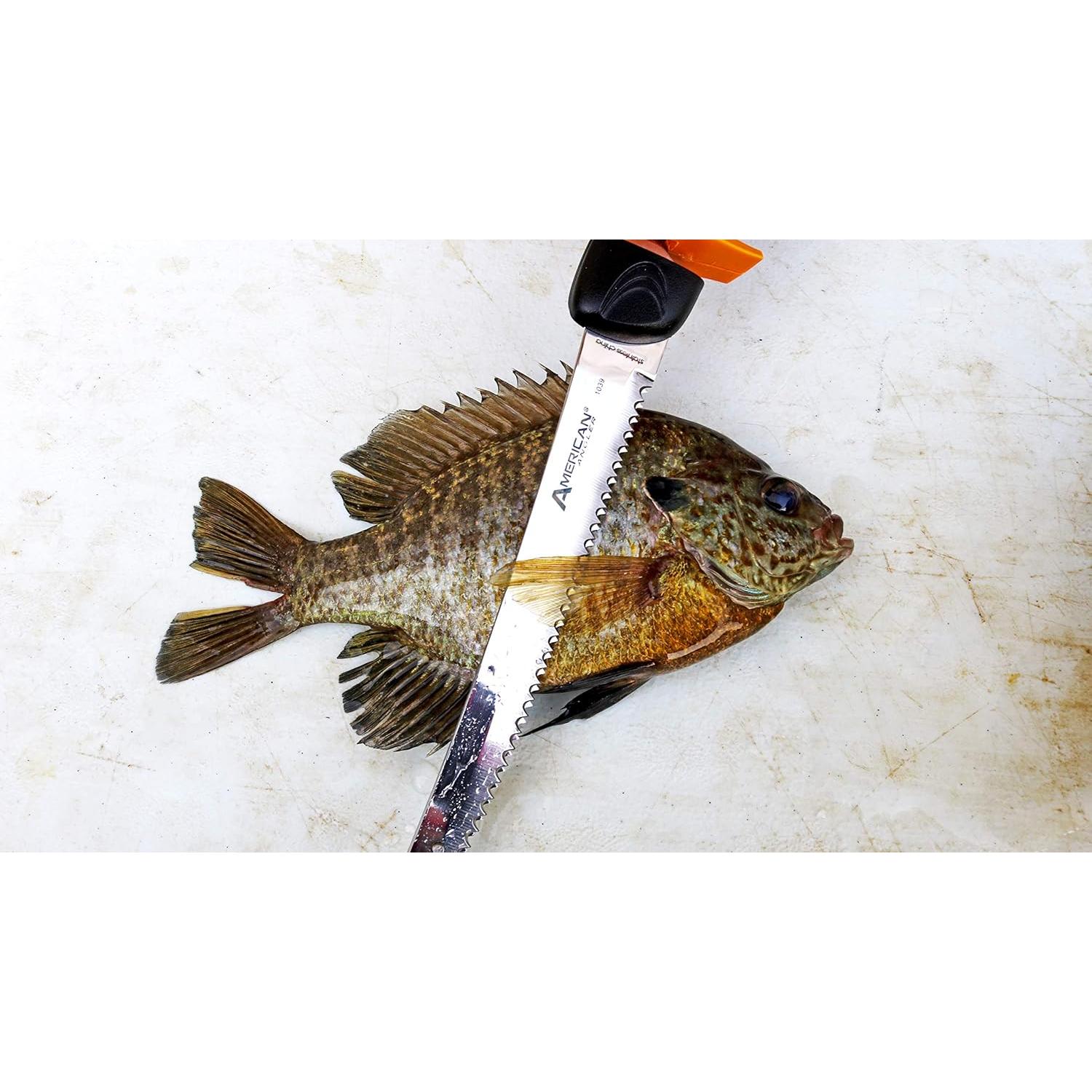 Cuchillo Eléctrico de Fileteo PRO American Angler 8" Acero Inoxidable