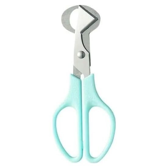 Tijeras de huevo de codorniz Zenarao de acero inoxidable
