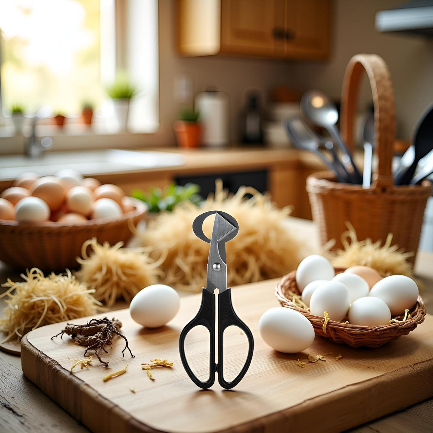 Cortador de Huevos de Codorniz Jowxsx Acero Inoxidable Negro