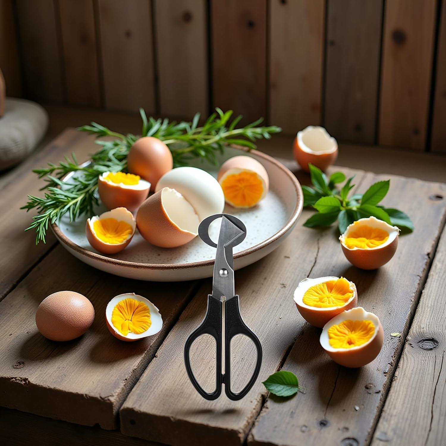 Cortador de Huevos de Codorniz Jowxsx Acero Inoxidable Negro