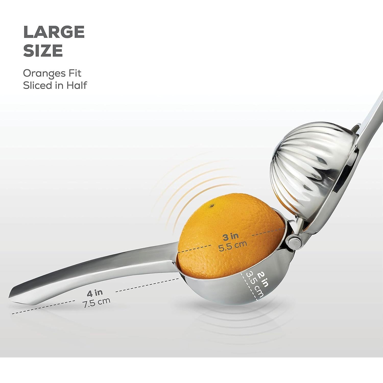 Exprimidor de Limón Manual FineDine Acero Inoxidable 0.75L