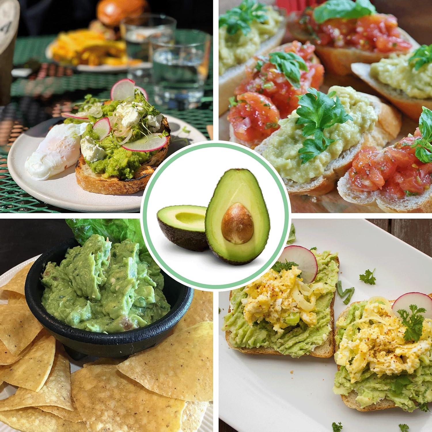 Contenedor para Guacamole WodGod 1L con Tapa Hermética