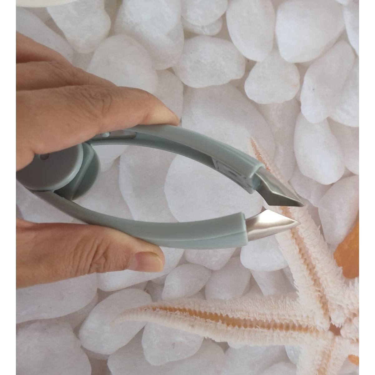 2 Piezas Quitar Tallos de Fresa y Corer de Ojos de Piña Jilukibo