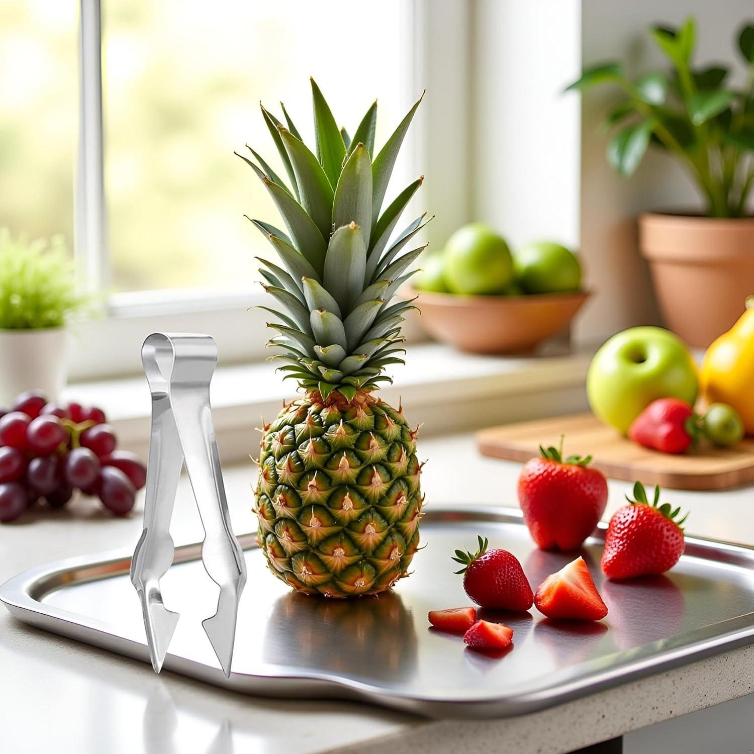 Clip Quitapelos Multifuncional Qintreesify de Acero Inoxidable