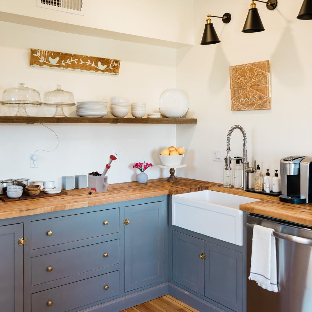 Quitapiedras de Cereza SIAM con Contenedor para Huesos