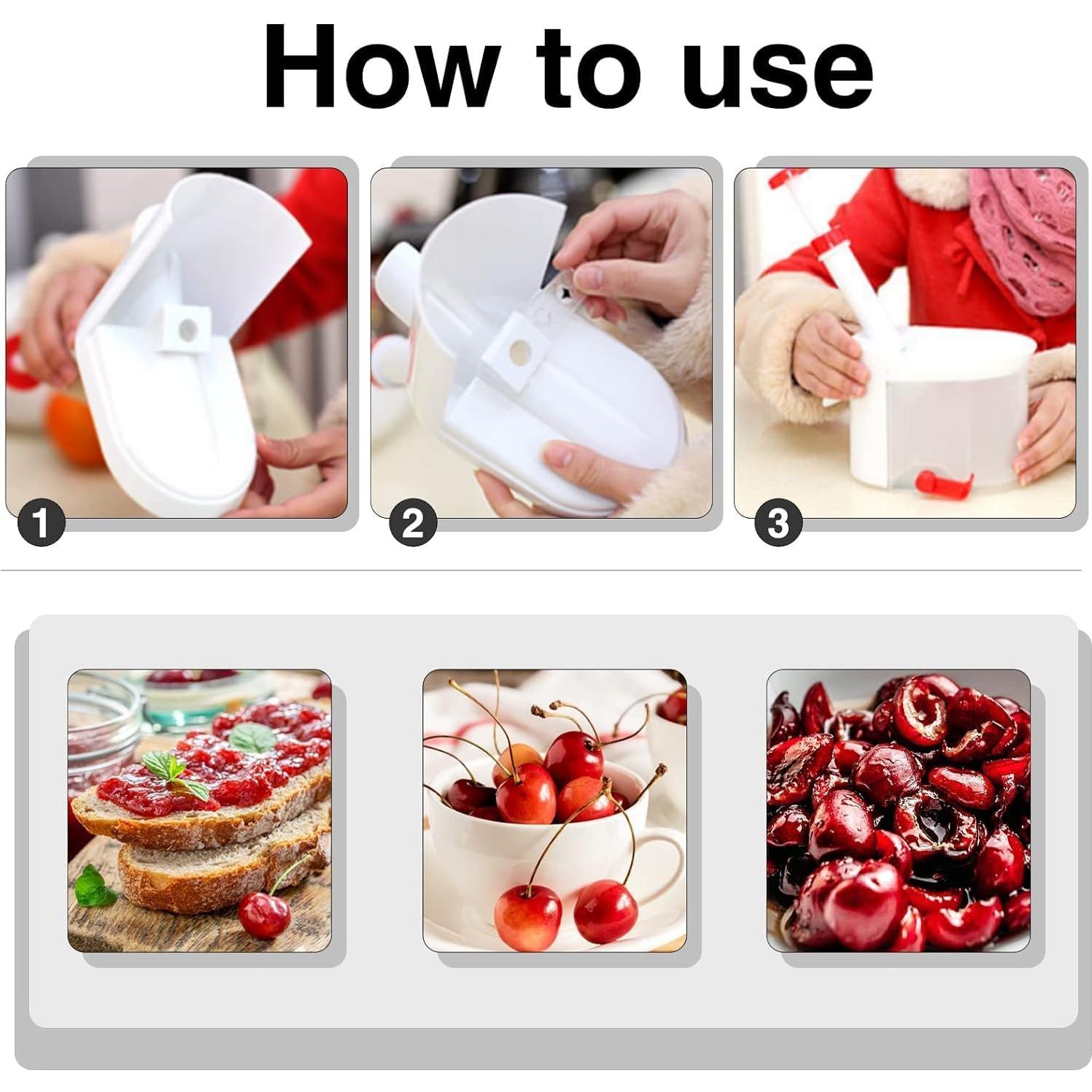 Quitapiedras de Cereza SIAM con Contenedor para Huesos