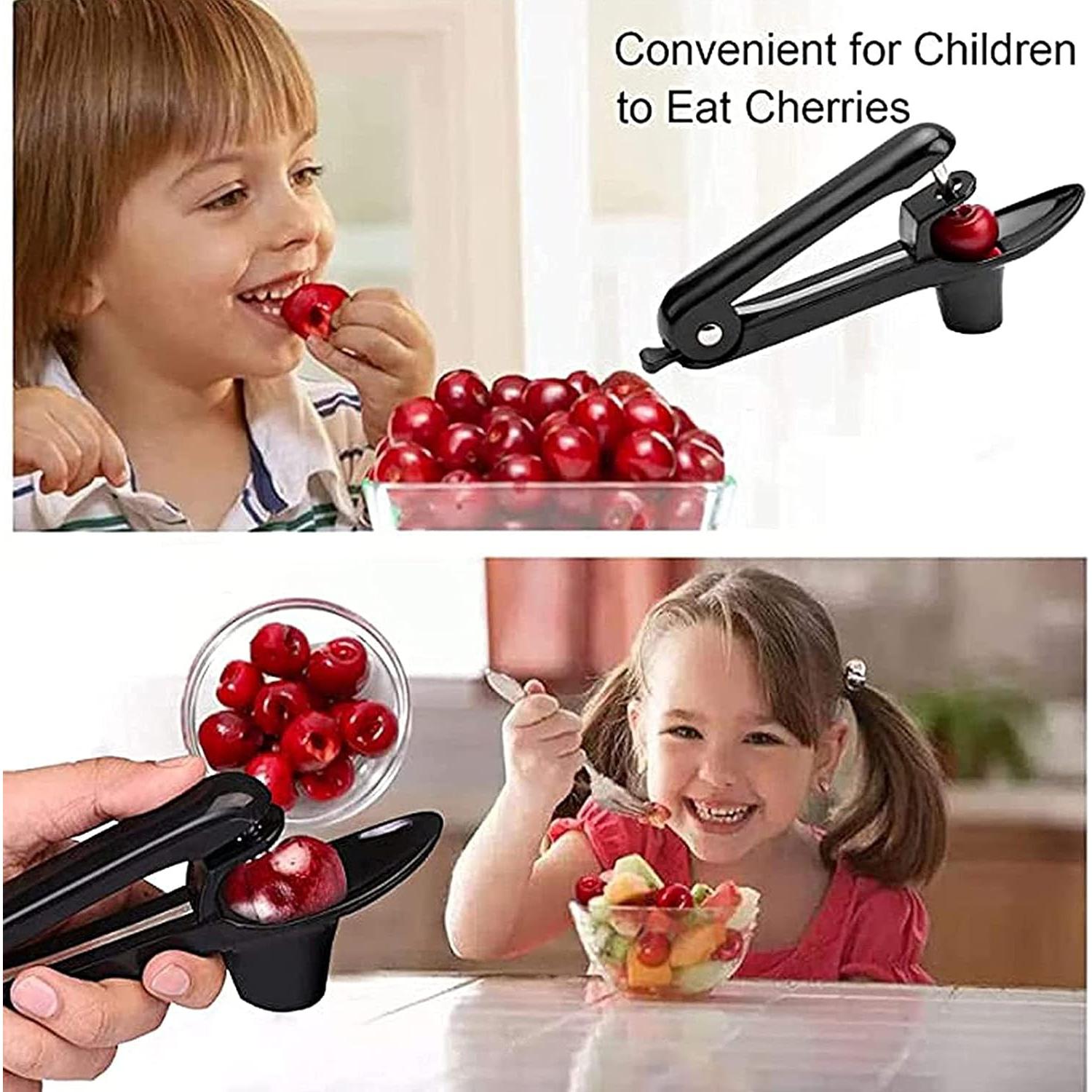 Deshuesadora de Cerezas ZLMC Rápida y Segura, 20.5 cm